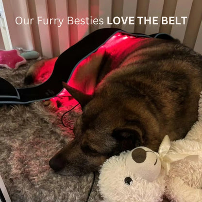 OrynPro® Red Light Therapy Belt
